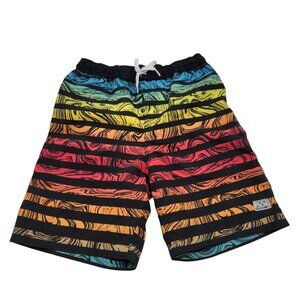 Big Chill Swim Shorts Colorful Rainbow Lined Elastic Draw Strings Boys Sz 14 EUC